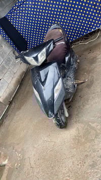 ثعلب • كوم حديد • سلف