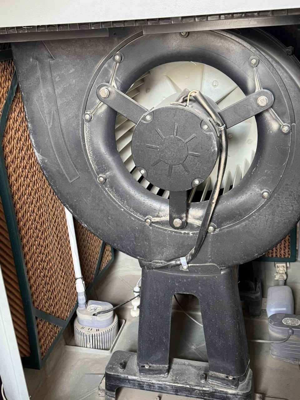 السلام عليكم 
غراض للبيع سعر قفل رجاءآ رجاءآ
سماعة50
مبردة جديدة 350
بنكة25
زولية50
كراسي واحد25 
كنتور50 
غسالة 100
المكان الغزالية


**إذا كنت صاحب هذا الإعلان وتريد حذفه لأي سبب، رجاءا أرسل رسالة إلى الدعم الفني**