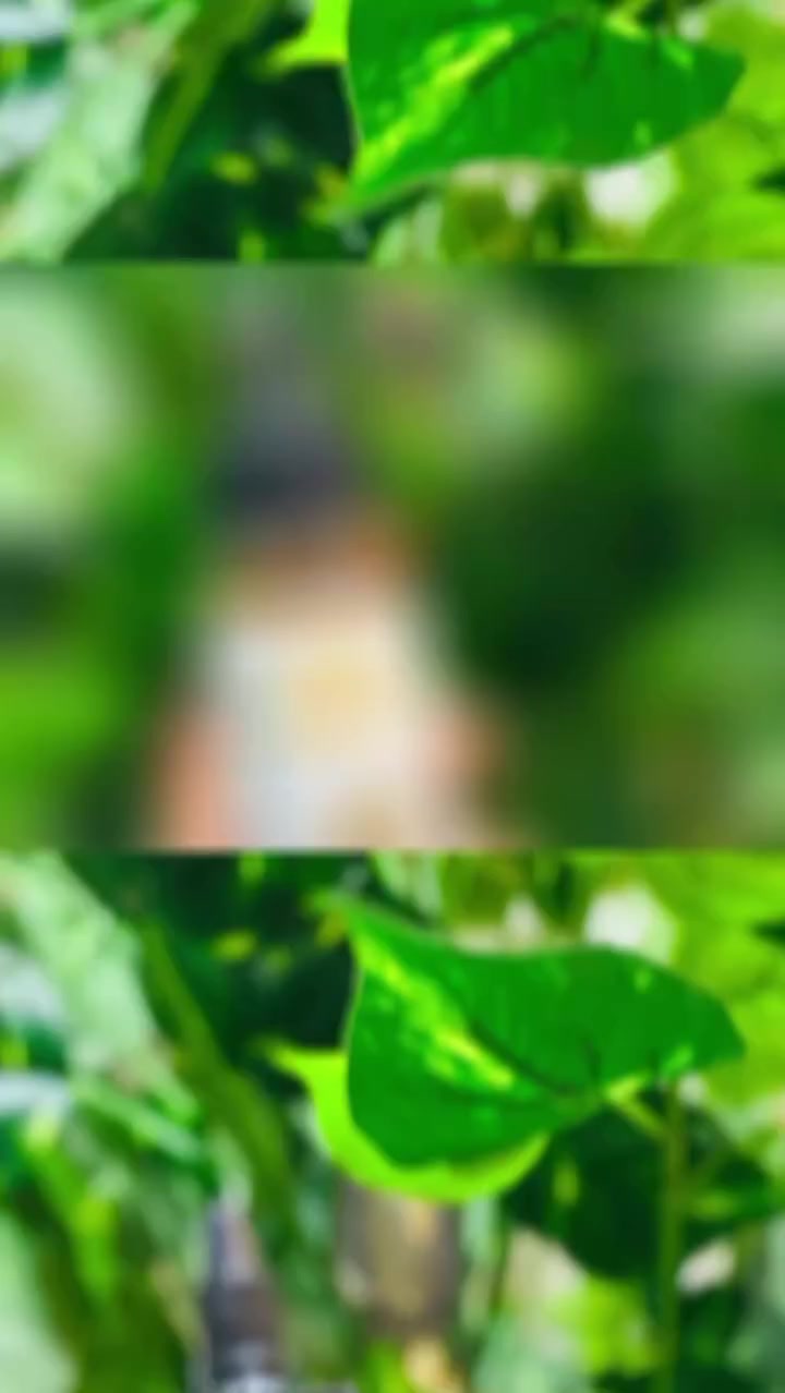 زيت الحية الباكستاني 🇵🇰 (Snake Oil)، وهو زيت مخصص للعناية بالشعر. 🌿

يستخدم لتقوية الشعر وتكثيفه. 
يساعد على تقليل تساقط الشعر. 
يغذي الجذور ويمنح الشعر لمعاناً ونعومة. ✔️
يخفف من التقصف والنفشة.🌱

لفقدان الشعر ويزيد مشاكل الشعر الجاف 😍
الشعر ويزيد الشعر المموج 
يتخلص من التجاعيد
المنشأ الباكستان الاصلي 🇵🇰

السعر 20  الاف @إشارة


**إذا كنت صاحب هذا الإعلان وتريد حذفه لأي سبب، رجاءا أرسل رسالة إلى الدعم الفني**