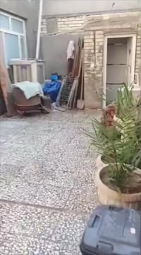 حي الميلاد الحولي • غرفتين نوم • وكاله واقرار