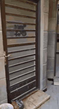 :- 🏠بيت للايجار... 🚩 الموقع سريع حي جهاد وحي العامل مجاور مسبح الرافدي...