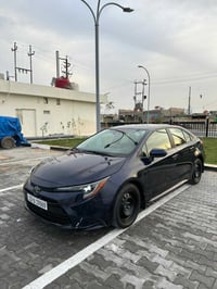 كورلا LE • ٢٠٢٤ • رقم اربيل