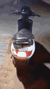 السلام عليكم دراجه فراشة فحل للبيع الدراجه حلوه شوفت عينك كلجات نضيفه كفرات نضيفات الدراجه حلوه بس مبدل ولفات بوشه وبستم البلاد تايرات جدد اكلوبات كله شغاله السعر 400وبيه مجال قليل مكاني ديوانية حي المين ***********
