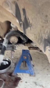 عرض اعضاء كروب تورس العراق 🇮🇶 عرض الصدر الامامي يضمن :  ١-تخم دبلات   ...