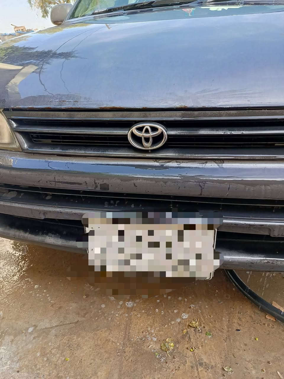 كورولا موديل 92 للبيع سعر 55 المكان ديالى شهربان المقدادية العزي


**إذا كنت صاحب هذا الإعلان وتريد حذفه لأي سبب، رجاءا أرسل رسالة إلى الدعم الفني**