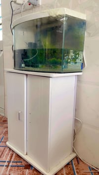 حوض سمج نضيف جدا غراضه كامله ٠٧٧٤ ٩٣٤ ١٠٨٦الاتصال