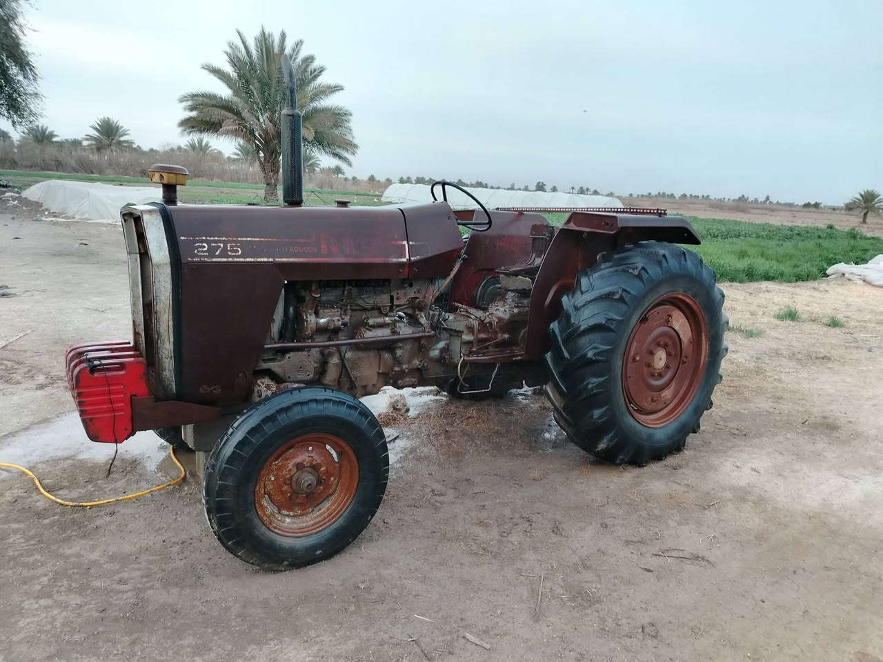 السلام عليكم
مكينه فوركسن  للبيع حجم ٢٧٥ بلادية مع معدات كاملة فيدان +معدلان+ خرماشه+ دراو+ ديج 
باقي التفاصيل اتصال ***********
