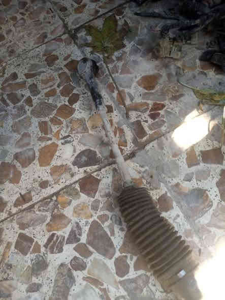 غراض بريجو للبيع 
وهذا المشط مكفول مو صيني الاصلي ب110
مكاني النجف الاشرف شارع المطار القديم 
***********
