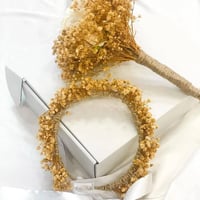 طوق جبسوفيل • مسكة عروس