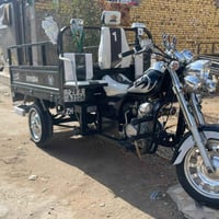 ستوته • ٢٠١٩ • مداور