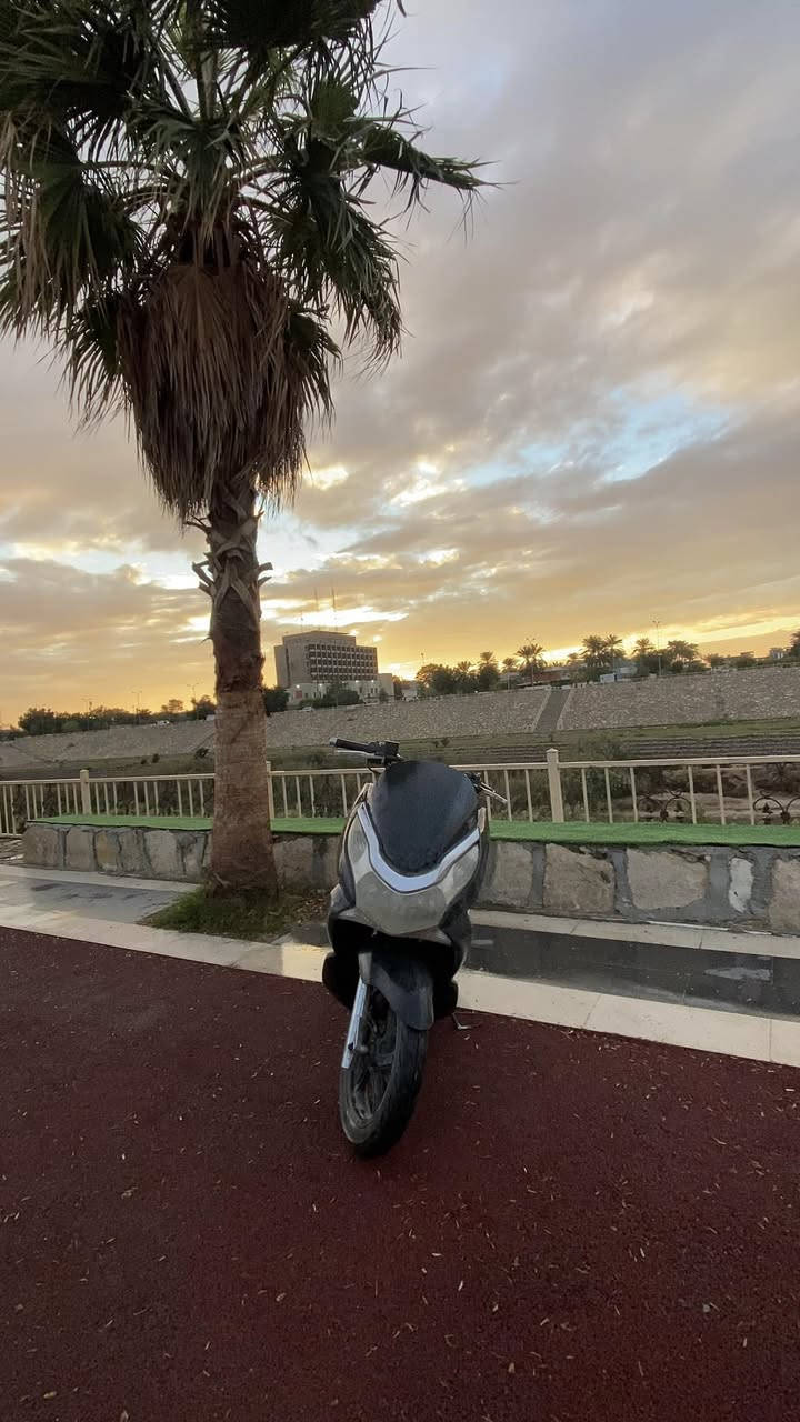 سلام عليكم 
بيسي اكس جيل الاول مزوده السعر 10$
***********
