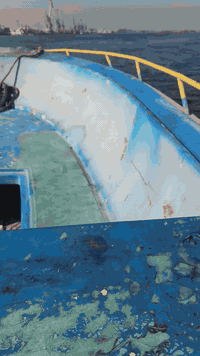 فقط ماكينه للبيع العنوان بصره قرمه علي مكينه ياماها 200 الارقام اتصال واتسا//***********//***********
