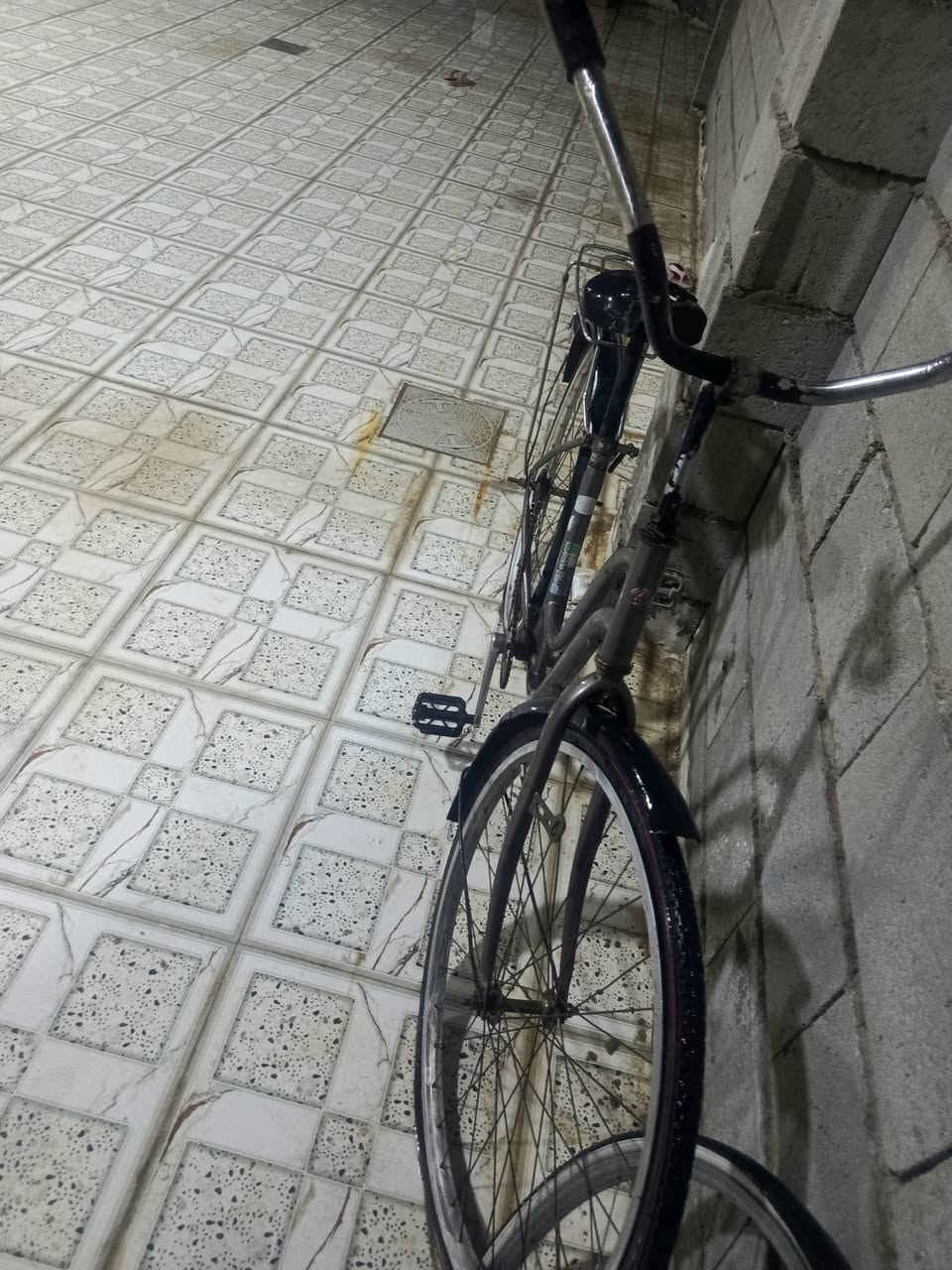 سلام عليكم بايسكل بايدر عايزله جوب خلفي ودسك فقط لبايسكل مال حاويه نضيفه لشه تعال شوف بعينك مكاني رمادي تائميم شارع نخيل سعر30 وبي مجال ***********
