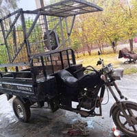 ستوته • شغالة • بحرك تعبان