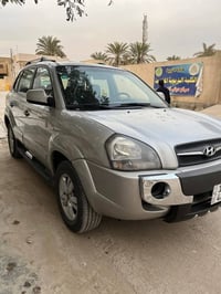 توسان • ٢٠٠٩ • بدون صبغ