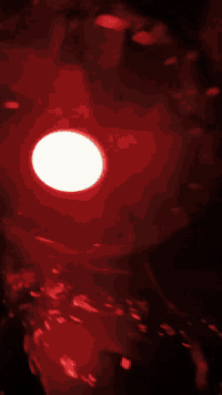 دراجه ساسوكي سوده للبيع السعر 300قفل مفتوحه المكينه المو شراي لا يتعبني ***********
