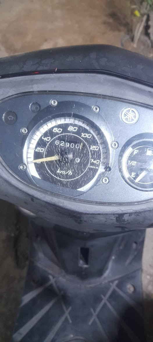 ماكس ثعلب رنبه جديده ٦٠٠ من الاخير بغداد البياع ***********
