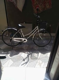 باسكل • مقاس ٢٦