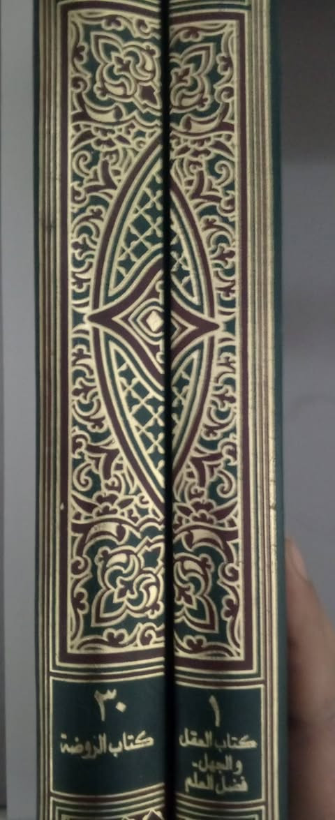 تبين الكافي في مرآة العقول والوافي. 
كتاب جامع لكتابي مرآة العقول للمجلسي والوافي للفيض الكاشاني. 

الكتاب ٣٠ مجلد

سعر 150 الف

للحجز  ألاتصال بالرقم***********
