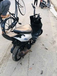 بيجي • فحل • معدل