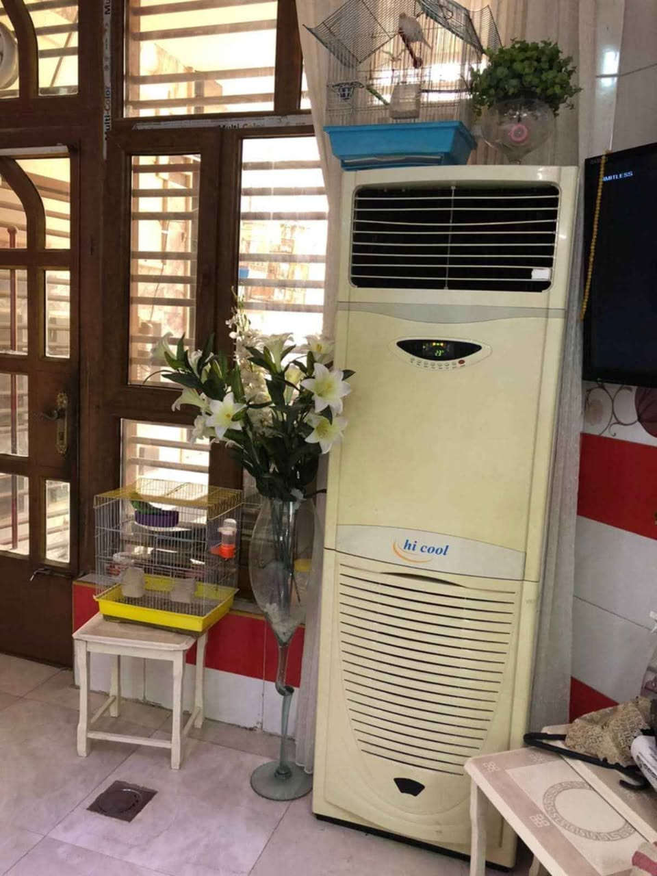 ‎سببت كنتوري 5 كم شغال مربوط على فحص مال بيت ثلج سعر 800 بغداد زيونه‎ بغداد, العراق


**إذا كنت صاحب هذا الإعلان وتريد حذفه لأي سبب، رجاءا أرسل رسالة إلى الدعم الفني**