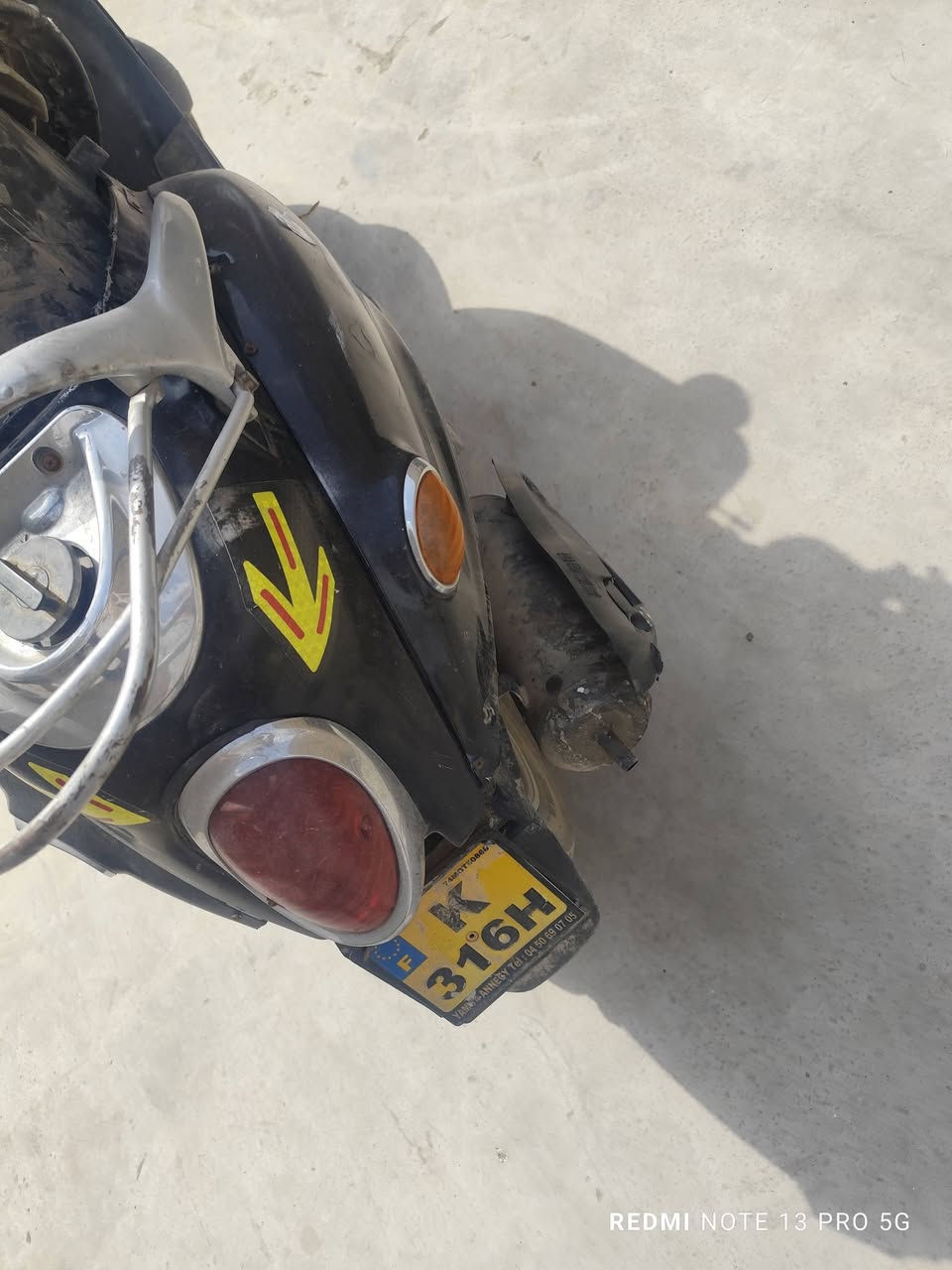 لبيع مصريه فحل سلف هدر شقال مكان كوت الفلاحيه 250بيهه مجال***********
