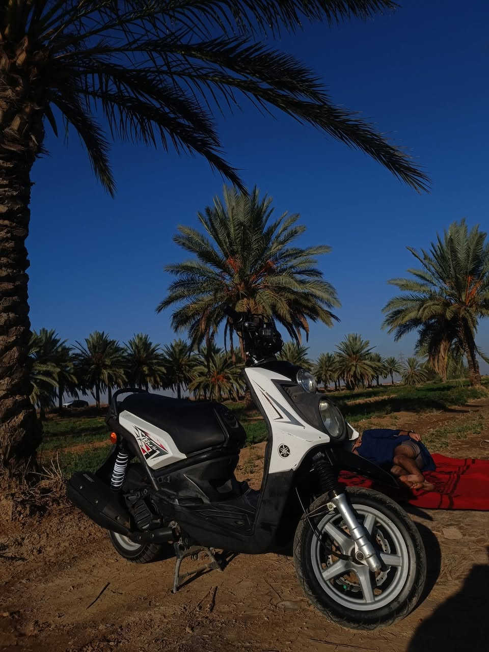 جبلي للبيع مكفولة كفالة عامة برغي ممفتوح بيها وختم واحد للتواصل ***********
مكاني بغداد الحسينية
