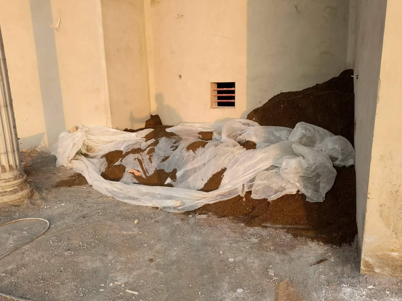 السلام عليكم كادر عمل ابراهيم كادر عمل نشتغل كافه الاعمال الحره***********
انشتغل كطعيه #وبسعارمناسبه تصفيط بلوك تصفير  بيوت فرش حجر تنضيف صطوح تصفيط خرايط تفليش  تقديم بلوك ل نجار صب دنك قواعد صب لاش 
لسلام عليكم كادر  عمل نشتغل كافه الاعمال ابراهيم 
تفليش صحيات +مخزن معا شيل الانقاض 
تفليش وتنضيف الابلوك +تصفيط 
  تفليش بيتونا وستاره وشيل الانقاض
تفليش سيراميك الارضية +شيل الانقاض
تكشير سيراميك+تكشير جص+تكشير لبخ
فتح أبواب وشبابيك
تصفير بيوت +فرش حجر
حفر قواعد الدنك +صب القواعد
صب صحيات ودنك  
تصفير تكعيبات 
صب لاش 
تدخيل بلوك داخل البيت للخشب 
تصعيد بلوك فوك البيت
تصعيد بلوك فوك التكعيبه
تصعيد رمل فوك البيت 
تصعيد اسمنت فوك البيت 
فرش حجر بيوت
تصفيط بلوك فوك الخريطه 
تدخيل جص داخل البيت  بأسعار مناسبة 
تصعيد جص على الطابق الثاني 
تنظيف ورا اللباخ 
تنظيف حواش
أي شغل نشتغل والرزق على الله 
اي شغل خابر ودلل والف هلا معاكم كادرابراهيم  
 وهذا رقم الهاتف/***********والخاص مفتوح
جميع العمال الحره والرزق عله الله حاضرين بكل وقت
اتصال على الرقم او خاص و تدلل***********
