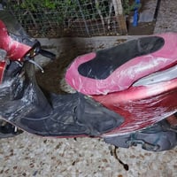 دراجه فراشه فحل الدراجه جديده ما ناقصه شي السعر 475الف و بيه مجال للشر...