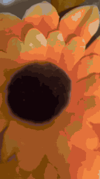 غرفه نوم عراقيه حطاطه صاج درجة اولى كبس فصال ثابت نجار حصيبه شرط مال الديره 5ملم نضافه فول السعر مليون و500بي مجال العنوان الرمانه البعبيد الاتصال 
***********
