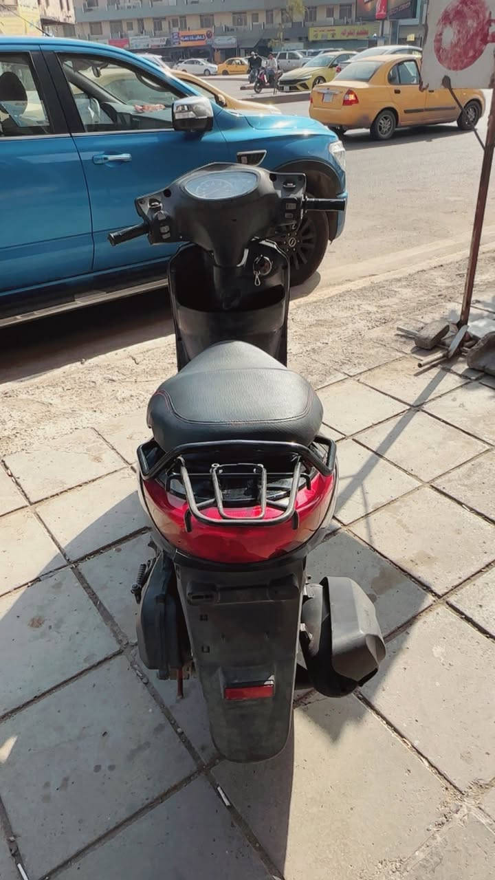 للبيع ببغاء دراجة بلاديه ممفتوحة ومابيهة كل نقص ومكفوله ***********زعفرانية
