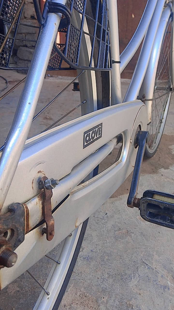 بايسكل سياحي حجم 26 مديل 2019 نضيف حاويه النوعيه اكلوف العنوان البصره شط العرب السعر 120 ابي مجال


**إذا كنت صاحب هذا الإعلان وتريد حذفه لأي سبب، رجاءا أرسل رسالة إلى الدعم الفني**