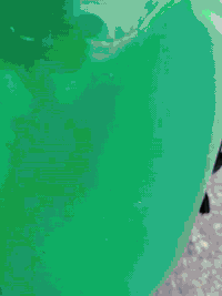 يالله
سلام عليكم شباب تكتك موديل 21 /شهر 8 تكتك نضيفه بيه ضربه بلغد زغيره مكينه مكفوله بس زنجيل مبدل بيه تخم تاير جبلي تكتك ما ناقصه شي كبل لشارع سعر 7 /750وبيه مجال بسيط وهاذ رقمي ***********
