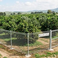 🍓🍇بستان مميز للبيع / للاستثمار 🌴🍋 العنوان قرب جسر الصويرة_شجيرية _قرب ...