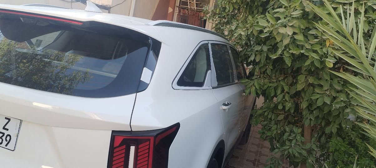سيارة سورنتو ٢٠٢٥ خليجي ماشية ٩ الف
مكفولة كفالة عامة
كامرات ٢ بصمات ٢ داتشو
ويل ٢٠
العنوان بابل الحصوة حي الحسين
الاتصال ***********
