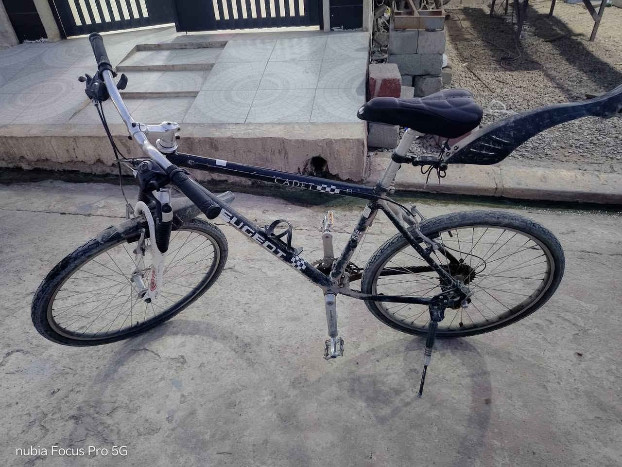 السلام وعليكم باسكل للبيع سعر 110بي مجال الي يريدو يرسلني خاص


**إذا كنت صاحب هذا الإعلان وتريد حذفه لأي سبب، رجاءا أرسل رسالة إلى الدعم الفني**