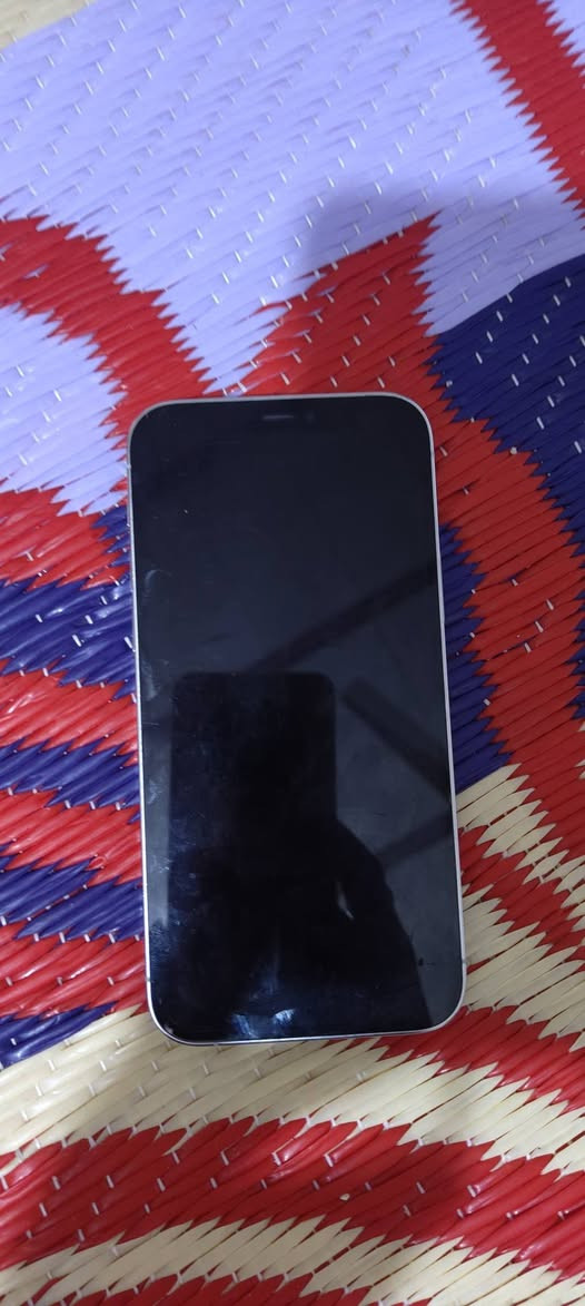 السلام عليكم 
12 برو الزغير 
للبيع او مراوس بماكس منغولي نضيفه ونطي فرق 
شعندك نزل


**إذا كنت صاحب هذا الإعلان وتريد حذفه لأي سبب، رجاءا أرسل رسالة إلى الدعم الفني**