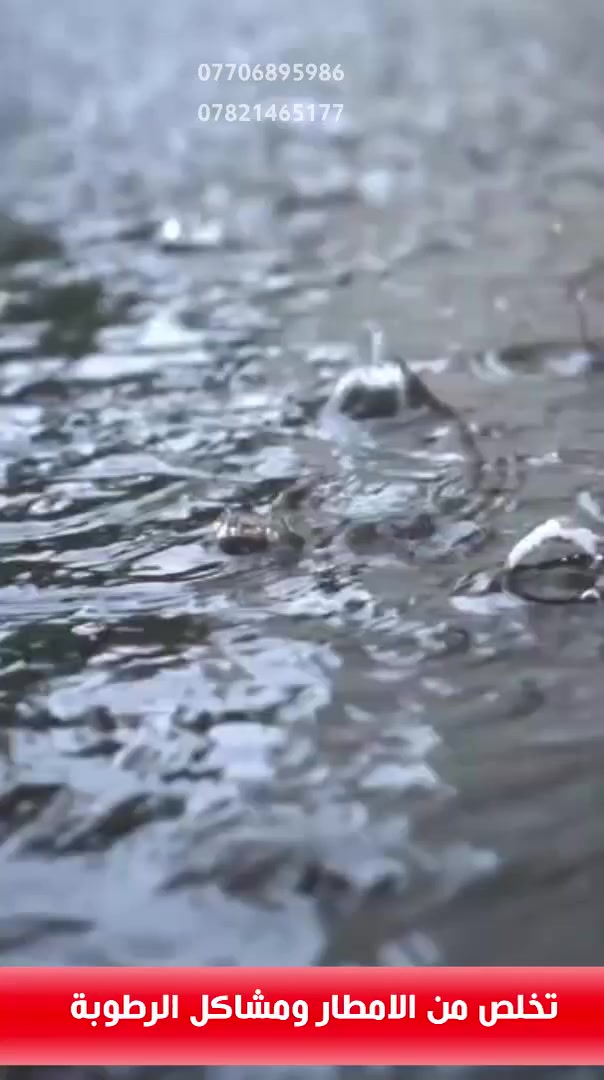 السلام عليكم ورحمة الله وبركاته من رخصة الأدمن المحترم
شركة السلام لتغليف الاسطح بماده الايزوكام 
***********
***********
---

عَندَما تَجتَمِعُ الخِبرَةُ بِالجَودَةِ...
تَكونُ النَّتيجَةُ حِمايَةً لا تُنافَس!

تُعلِنُ شَرِكَةُ السَّلامِ لِتَغليفِ الأَسْطُحِ بِمادَّةِ الإيزوكام عَن إِنْجازِ عَمَلِها الجَديدِ عَلى سَطحِ الأَخِ أَبي أَحمَد فِي مُحافَظَةِ كَربَلاء،
بِمِساحَةٍ تَبلُغُ ٢٢٠ مِتْرًا مُرَبَّعًا.

✔️ الإيزوكام الإيطالي ٣٢١ الفِضِّي الأَصْلِيّ
✔️ حِمايَةٌ كامِلَةٌ مِنَ الحَرارَةِ وتَسَرُّبِ الماءِ
✔️ جَودَةٌ عالِيَةٌ – كُلْفَةٌ مُنخَفِضَةٌ – ضَمانٌ ١٠ سَنَواتٍ
✔️ يُناسِبُ الأَشْتايْكَر وَالفَرْشِي وَالصَّبّ

نَعمَلُ عَلى كافَّةِ أَسْطُحِ المَنازِلِ، حَديثَةً أَو قَديمَةً، وَفِي كافَّةِ المُحافَظاتِ.

📞 لِلطَّلَبِ وَالاستِعلامِ: ***********
***********

شَرِكَةُ السَّلامِ لِتَغليفِ الأَسْطُحِ بِمادَّةِ الإيزوكام
اِختَرِ الأَفضَلَ لِسطحِ بَيتِك...

0770 689 5986 واتساب
