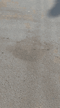 سلام عليكم بيت بلجريخي ٥٠  بالسند واقع حال ٧٥ ركن عله شارع ٣٠ قرب مدرست الحكيم للاستفسر ***********
