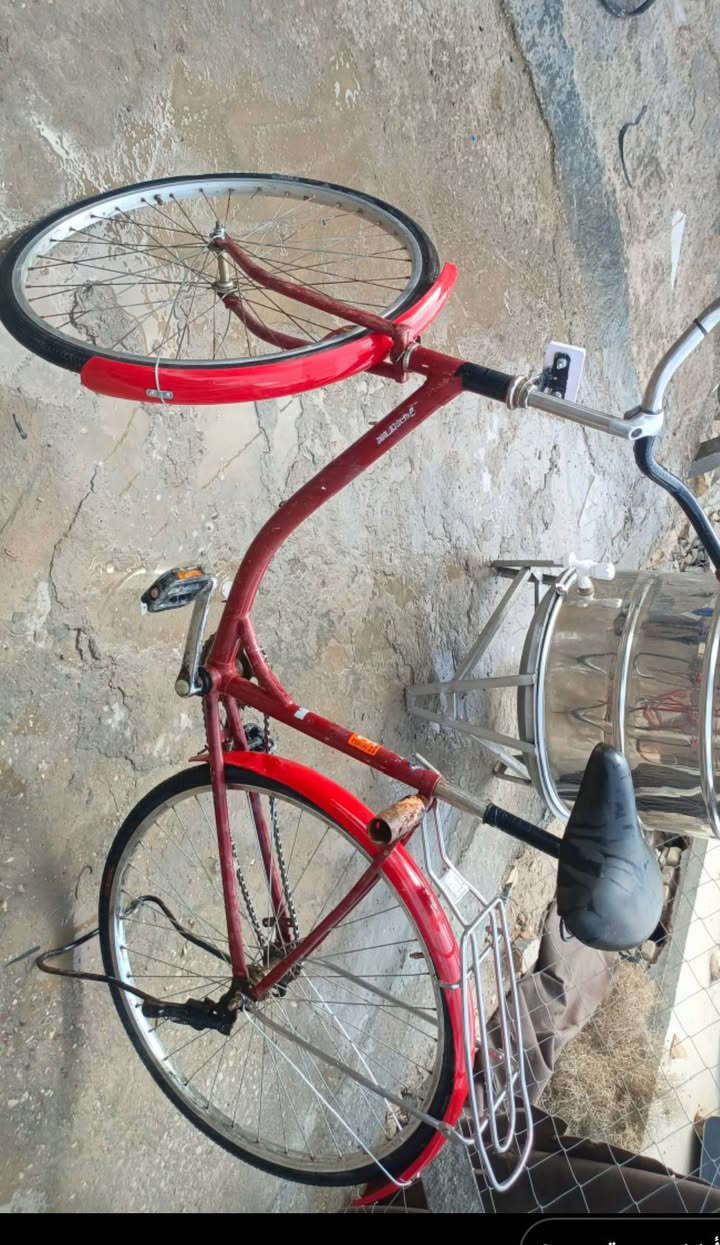 شباب باسكل للبيع في الديوانيه  الخمسه دونم السعر 45الف وابي مجال تجاري الحجم 26  ورقم الهاتف***********
