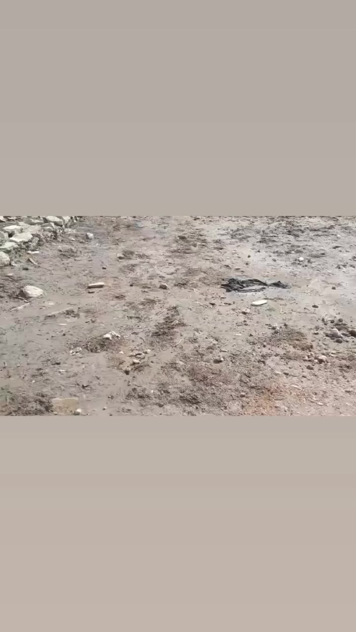 قطعه زراعي سند مساحة200ب4000
يم بيوت الطابو لشهداء سرايا السلام 
سعره 10وبيها مجال


**إذا كنت صاحب هذا الإعلان وتريد حذفه لأي سبب، رجاءا أرسل رسالة إلى الدعم الفني**