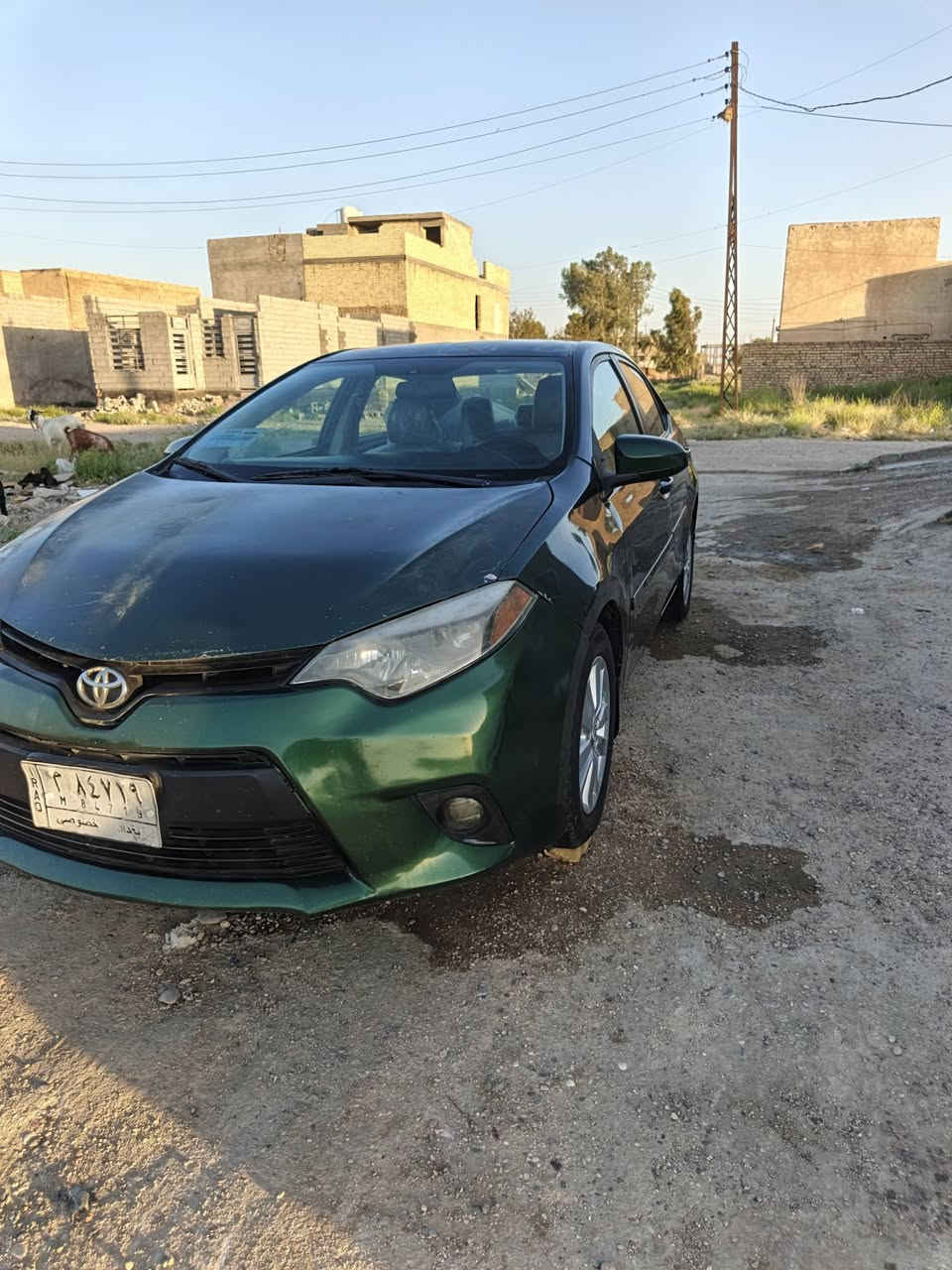 سلام عليكم
سيارة كورلا موديل 2014 بيهة صبغ جاملغين فقط وبيهة تبديل فقط بنيد بدون دواخل سيارة جاهزة من كلشي كير ومكينة وتبريد ثلج تراي وين ميعجبك صدر خير من الله سيارة مال جناي 
رقم بغداد تحويل مباشر تخم تاير تكم لغود شواصي حوض كفالة للبيع أو مراوس حسب القناعة مكاني بغداد السعر 98 وبيهة مجال
الشراي يخابر وإني بخدمتة وهاذا رقمي ***********

