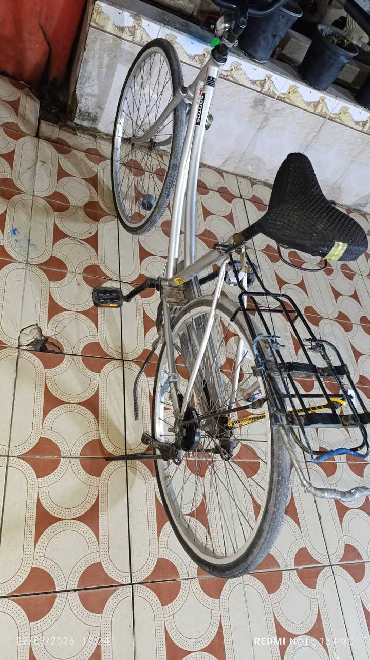 السلام عليكم باسكل البيع حجم 26 مديل بس ختم جمالغات وياه سعره 55بي مجال شراي بي خير ويدلل مكاني شطره عله حولي رقمي ***********
