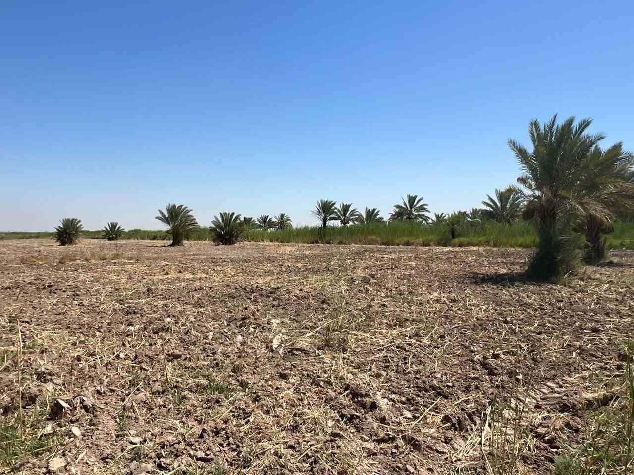 الهم صل على محمد وآل محمد 
أرض للبيع مساحة 3 دونم طابو زراعي صرف ( طابو صرف ) خدمات كاملة تبعد عن الشارع 80 متر

الموقع / شارع سدة محاويل
/ الشمامرة / أراضي الناصرية / مقابيل مدرسة العوفي الابتدائية 

لتفاصيل أكثر
 ***********
***********
