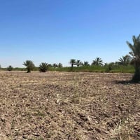 أرض للبيع • أراضي زراعية • أرض طابو صرف • أراضي الناصرية • أرض الشمامر...