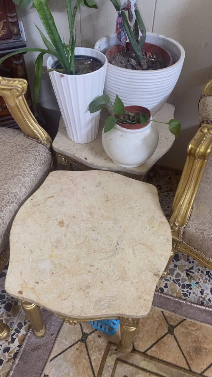 تخم زان مصري 10 مقاعد و 4 طبلات السعر 750التخم نظيف جدا سبب البيع ضيق المكان


**إذا كنت صاحب هذا الإعلان وتريد حذفه لأي سبب، رجاءا أرسل رسالة إلى الدعم الفني**