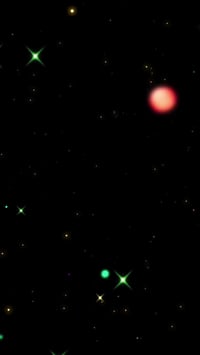 تين تركي • ثمار كبيرة • عرض اليوم