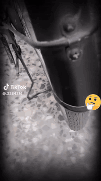 سلام عليكم باسكل لبيع موديل 2019 باسكل مال حاويه شركته سانتروس باسكل مكفول حجما 26       وسعرا 120 مكاني جسر ديالى رقم الهاتف وتساب فقط رقم ***********
