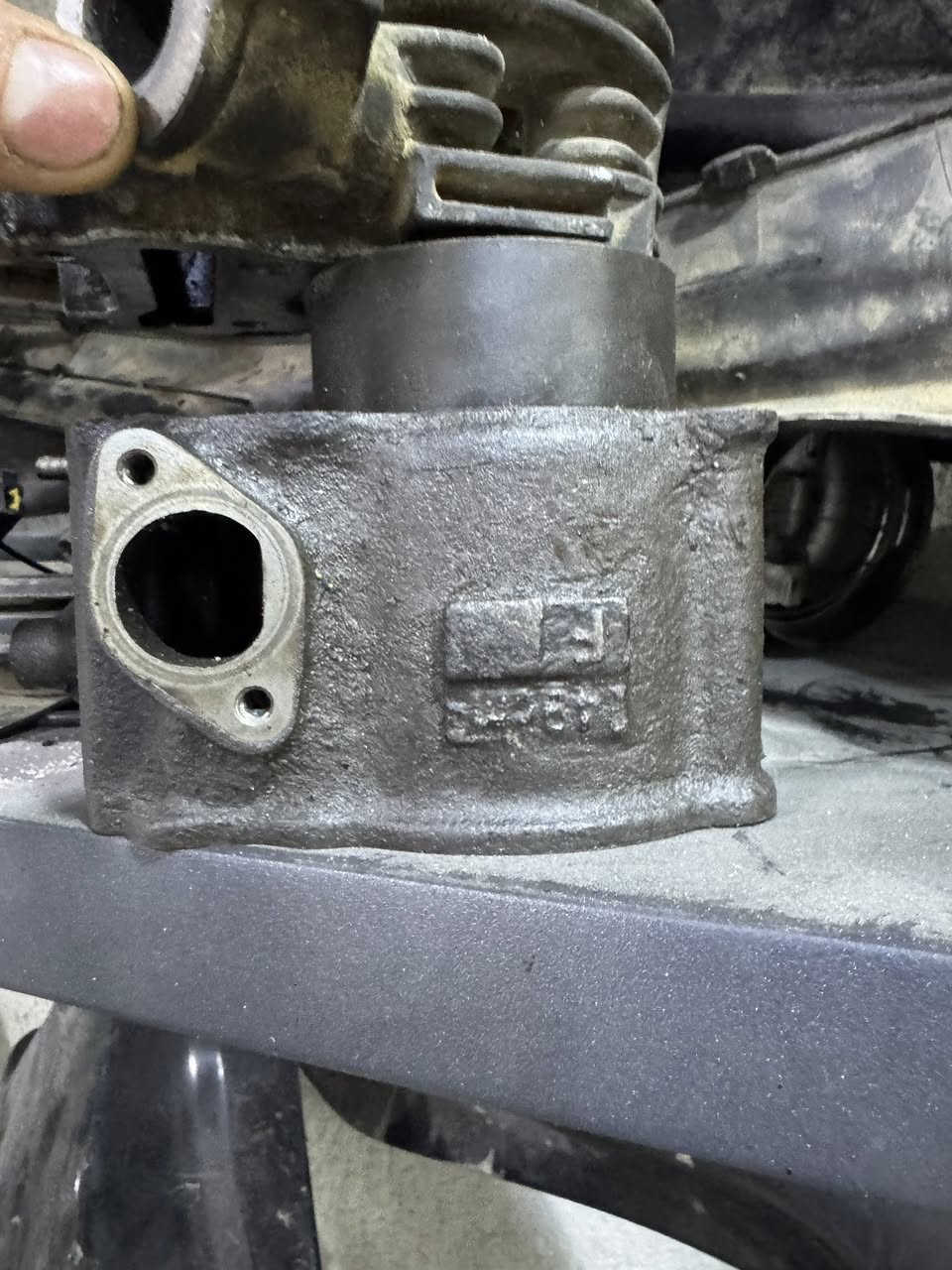 تفصيخ ورزه  صفر ٨ وصفر ٩. شتريد موجود. ***********
