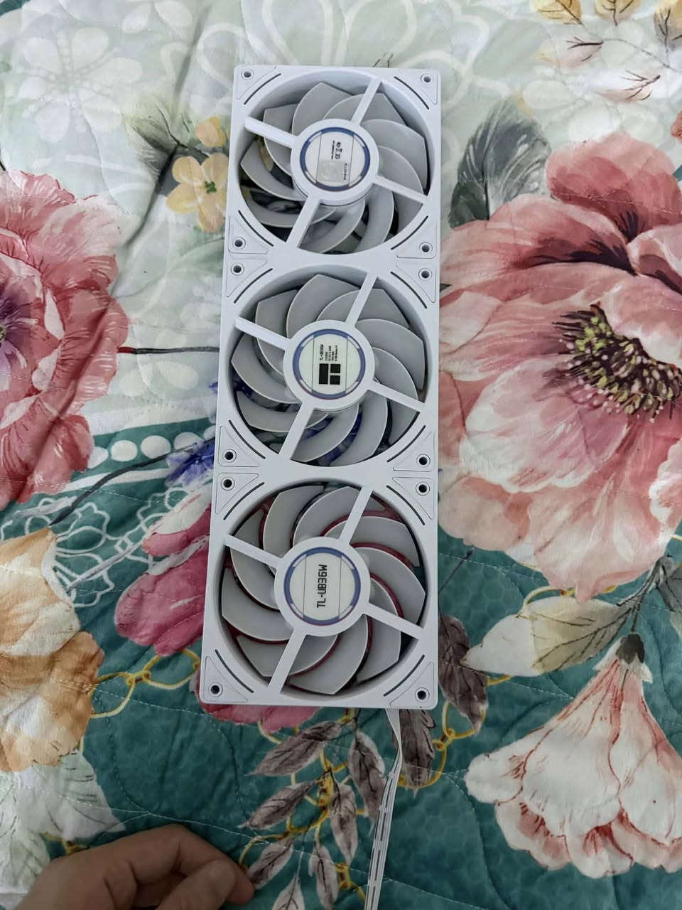 السلام عليكم
فان Thermalright 3قطع يصير قطعه وحده التجي ويا المبرد 
ب 20 

SMART WALL LIGHT
اضاءه 
18 قطعه يعني سيتين ب 80 
ومتوفر توصيل


**إذا كنت صاحب هذا الإعلان وتريد حذفه لأي سبب، رجاءا أرسل رسالة إلى الدعم الفني**